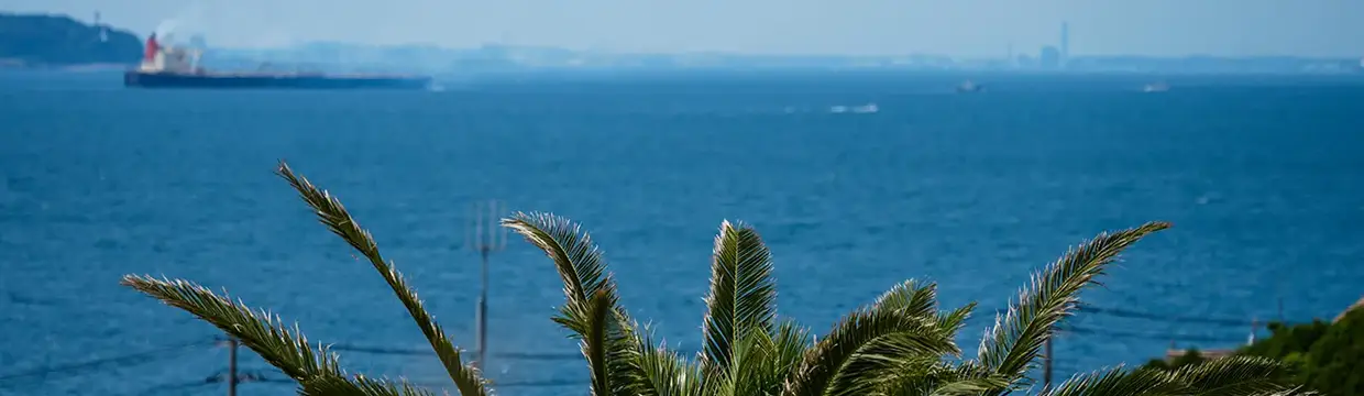 オーシャンビュー